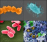 MICROBIOME.png