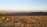 negev_desert_800x464.jpeg